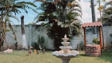 Jardim com fonte de água, palmeiras e gramado